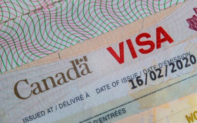 IRCC Translation Requirements: Who Can Translate Your Documents for Immigration